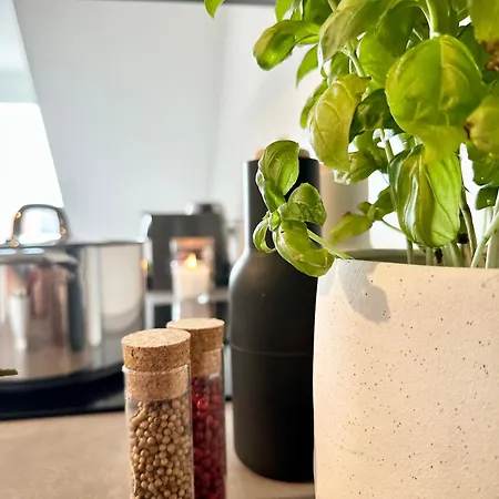 Mystay I Lofts I Superior Design アパート *