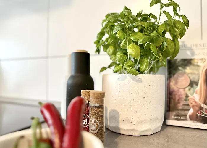 Apartmán Mystay I Lofts I Superior Design Heidelberg